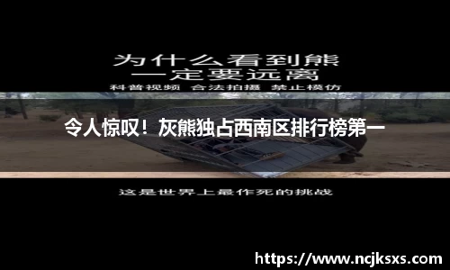 必一体育